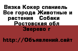 Вязка Кокер спаниель - Все города Животные и растения » Собаки   . Ростовская обл.,Зверево г.